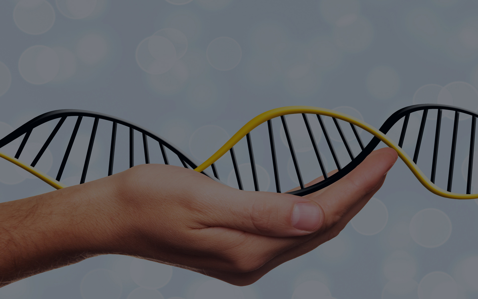 We encourage research to make sure sustainability